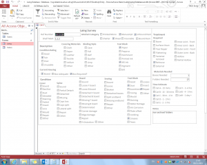 Screenshot of Microsoft Access Database