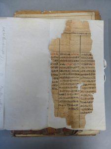 Fragment of papyrus, before conservation