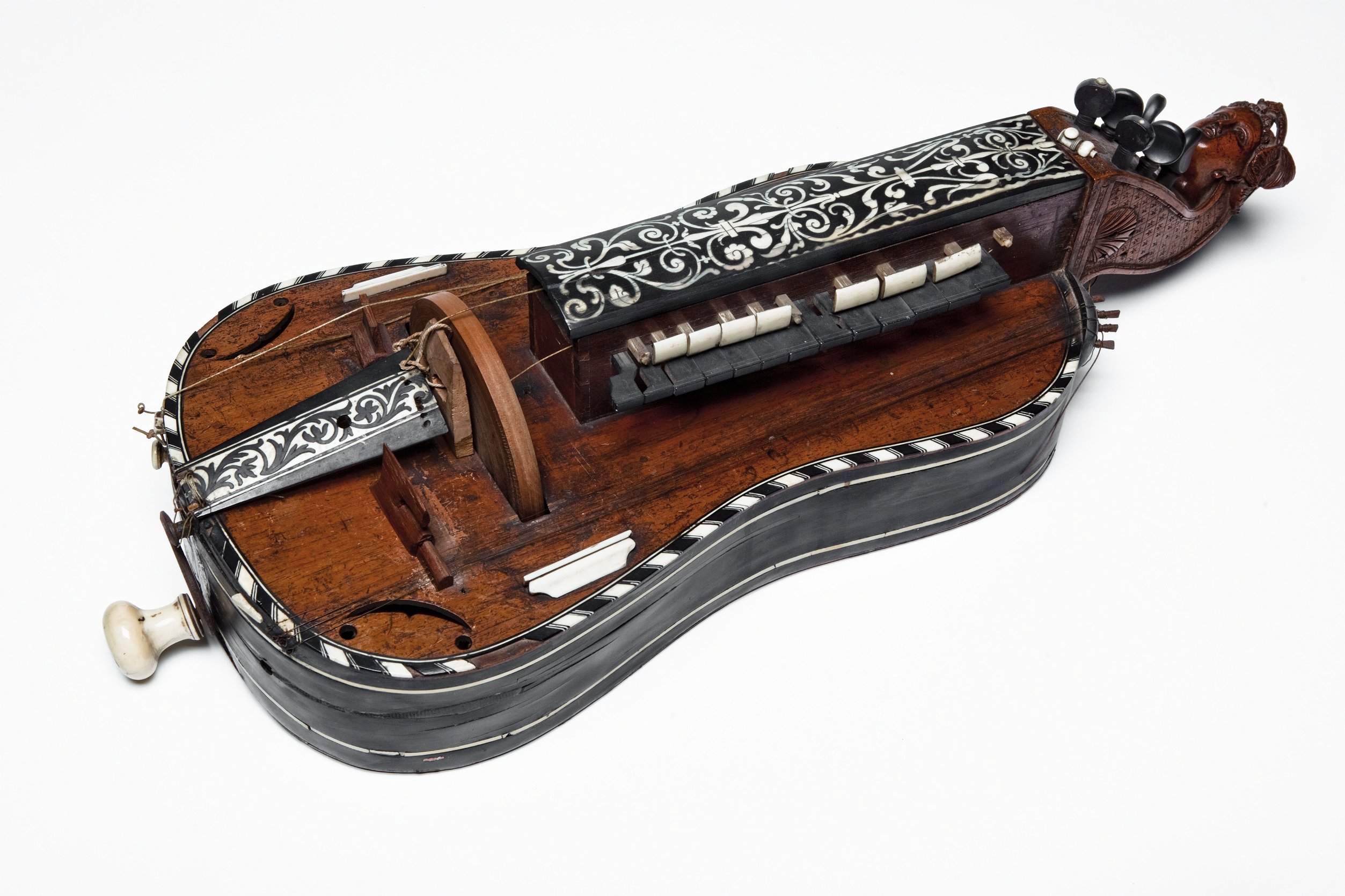 Hurdy-Gurdy Experience | To Protect and (Con)serve