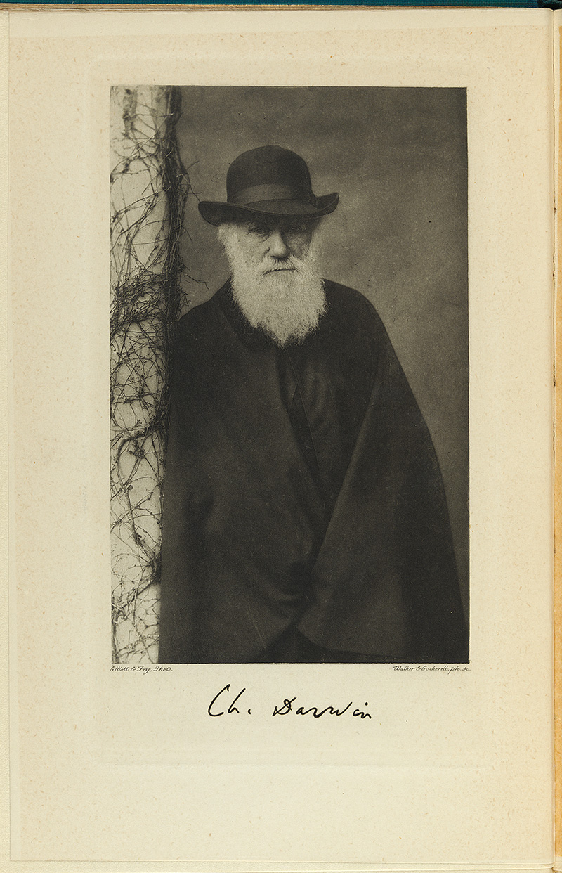 Heiskell Darwin