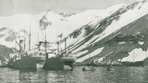 Whale-factory ships 'Coronda' and 'New Sevilla', season 1934-35