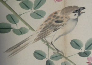 Sparrow on a flowering twig - from the album of Japanese paintings - Centre for Research Collections