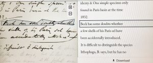 A screenshot of the Transkribus platform. On the left is a digitised image of a page of Charles Lyell's notebook 65. The handwriting is in ink, and an untidy scrawl. On the right is typed words, corresponding to each line in the image. The words are a word for word transcription.