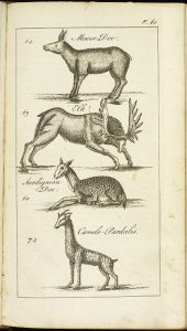 Brookes, Richard. A new and accurate system of natural history ... London: J. Newbery, 1763. Nat. 109 