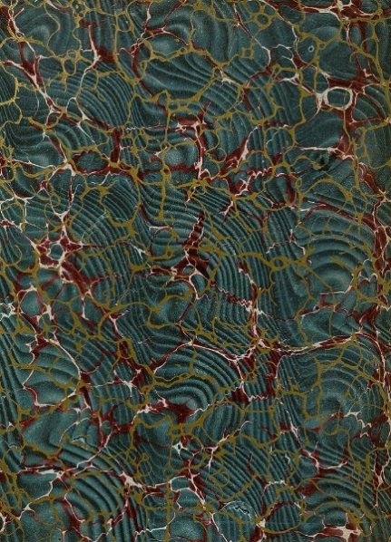 Figure 5 guess what - marbled endpaper again