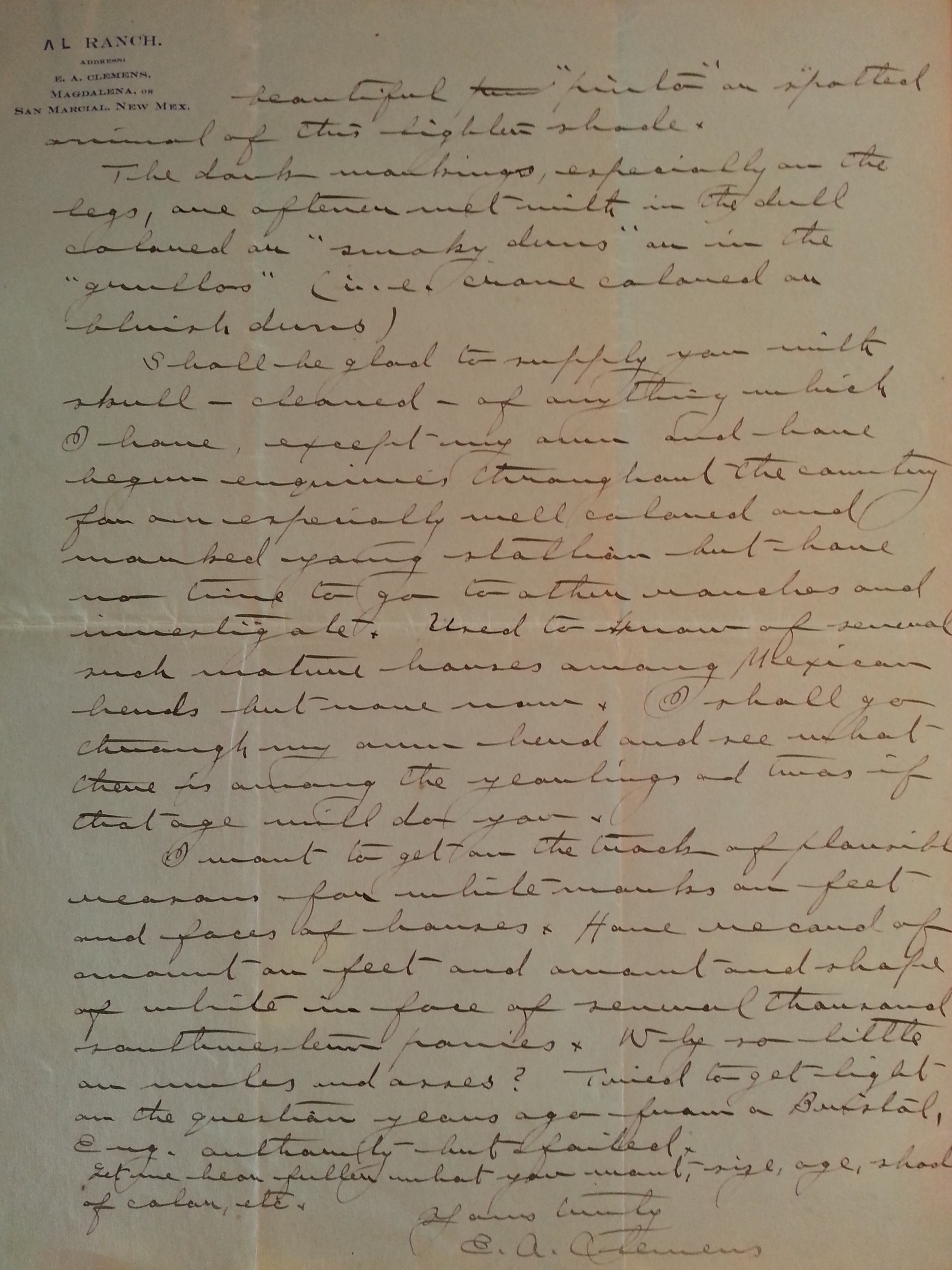 E.A Clemens letter Coll14.9.8.3