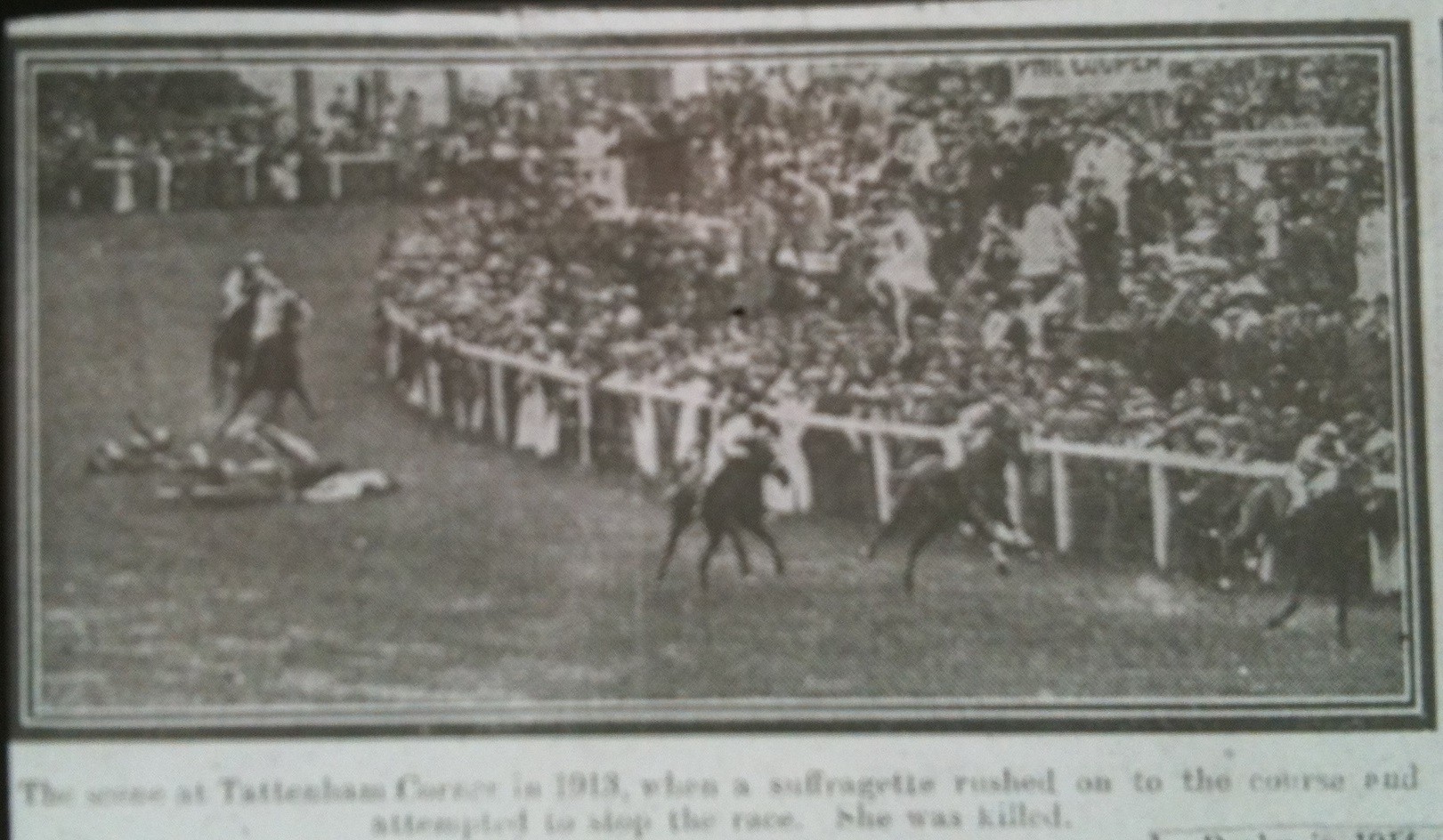 Davison Suffragette Horse 4