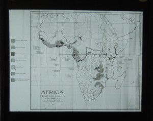 Glass slide, which probably once belonged to James Cossar Ewart, showing the distribution of the tsetse fly across Africa (GB 237 Coll-1434/2058)