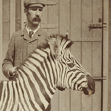 James Cossar Ewart with one of his zebras in Penicuik, outside Edinburgh, c.1900 (GB 237 Coll-14/4/6)