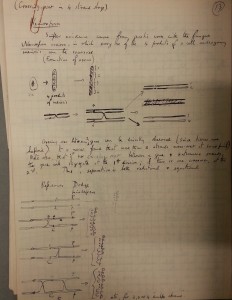 Lecture notes by Geoffrey Beale illustrating crossing over in Neurospora, 1940s(Coll-1255)