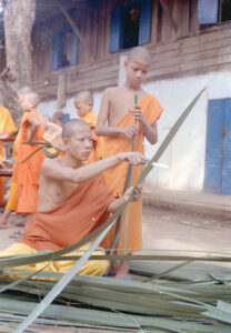 Monks in orange robes cutting palm leaf with a sharp instument