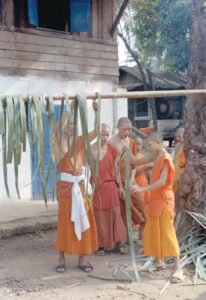 A group of monks in orange robes hang palm leaves outside on a pole