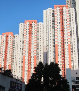 Sunny image of the façade of several tower blocks; a tree is visible in the foreground.
