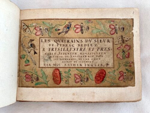 A photograph of a highly decorative manuscript with art of flowers, insects, and birds 