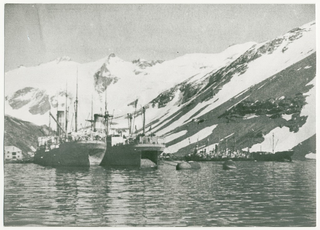 Whale hunting New documentary for broadcast on BBC Four Archives