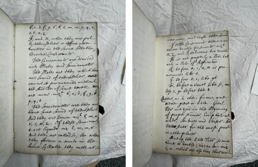 The Art of Writing: A Journey Through Handwriting Evolution and ...