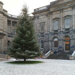 Christmas tree on display in the quad at Old College. 