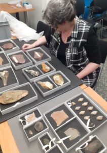Kate Bowell studies the Cockburn Museum's Lyell specimens. 