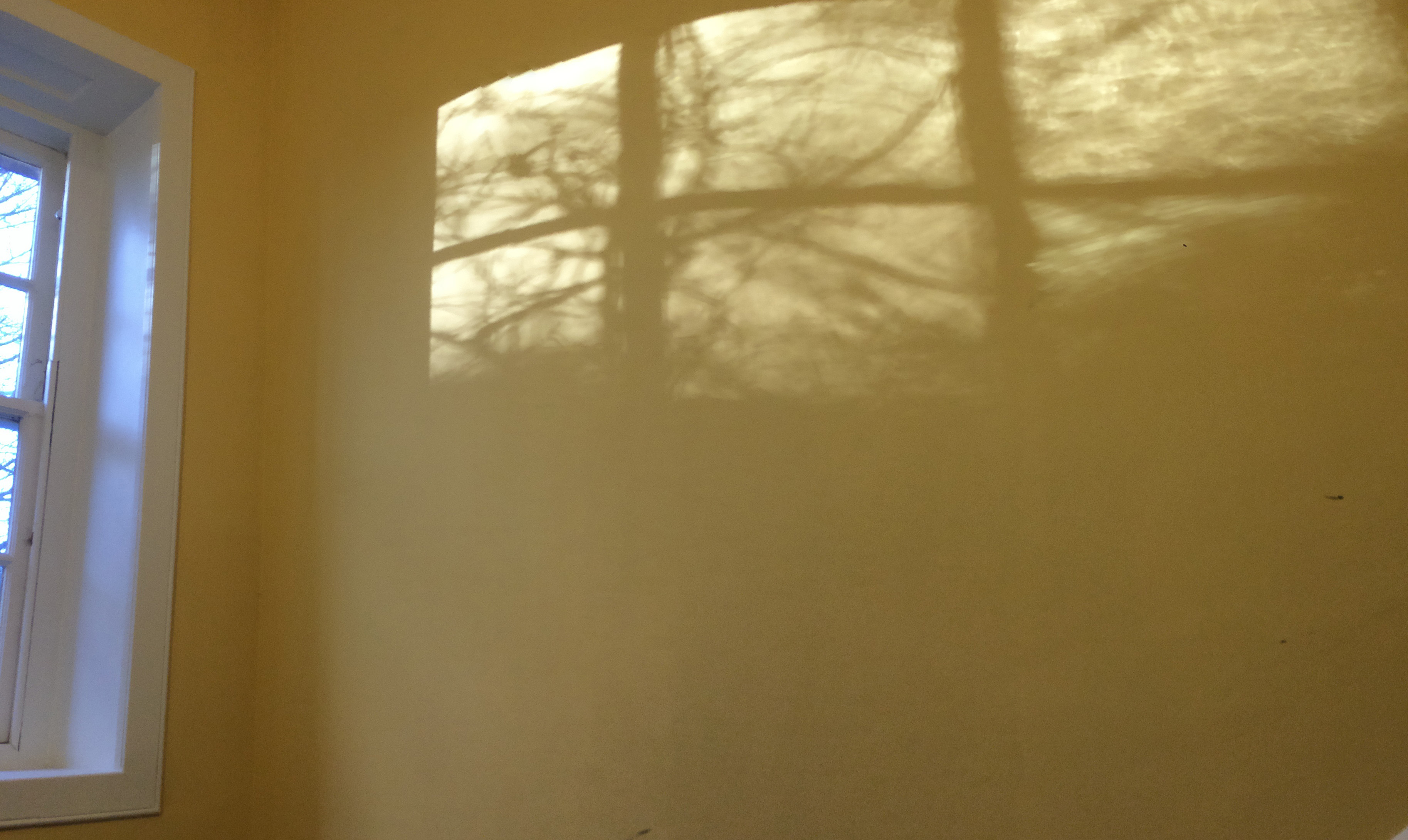 On a yellow wall there is a shadow from the window of trees in the garden