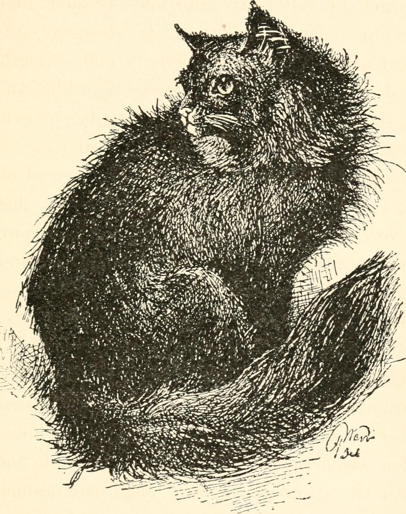 page 81 of "The cat, a guide to the classification and varieties of cats and a short tratise upon their care, diseases, and treatment" (1895)