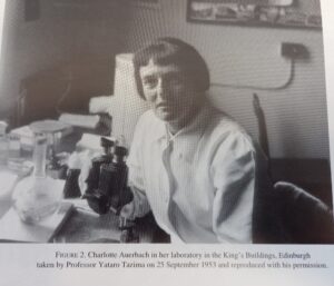 A picture of Charlotte Auerbach in her laboratory in the King's Buildings